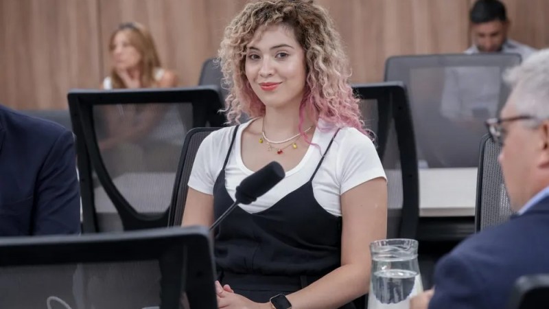 Lourdes Arrieta se metió en el escándalo de los audios por coimas en discapacidad
